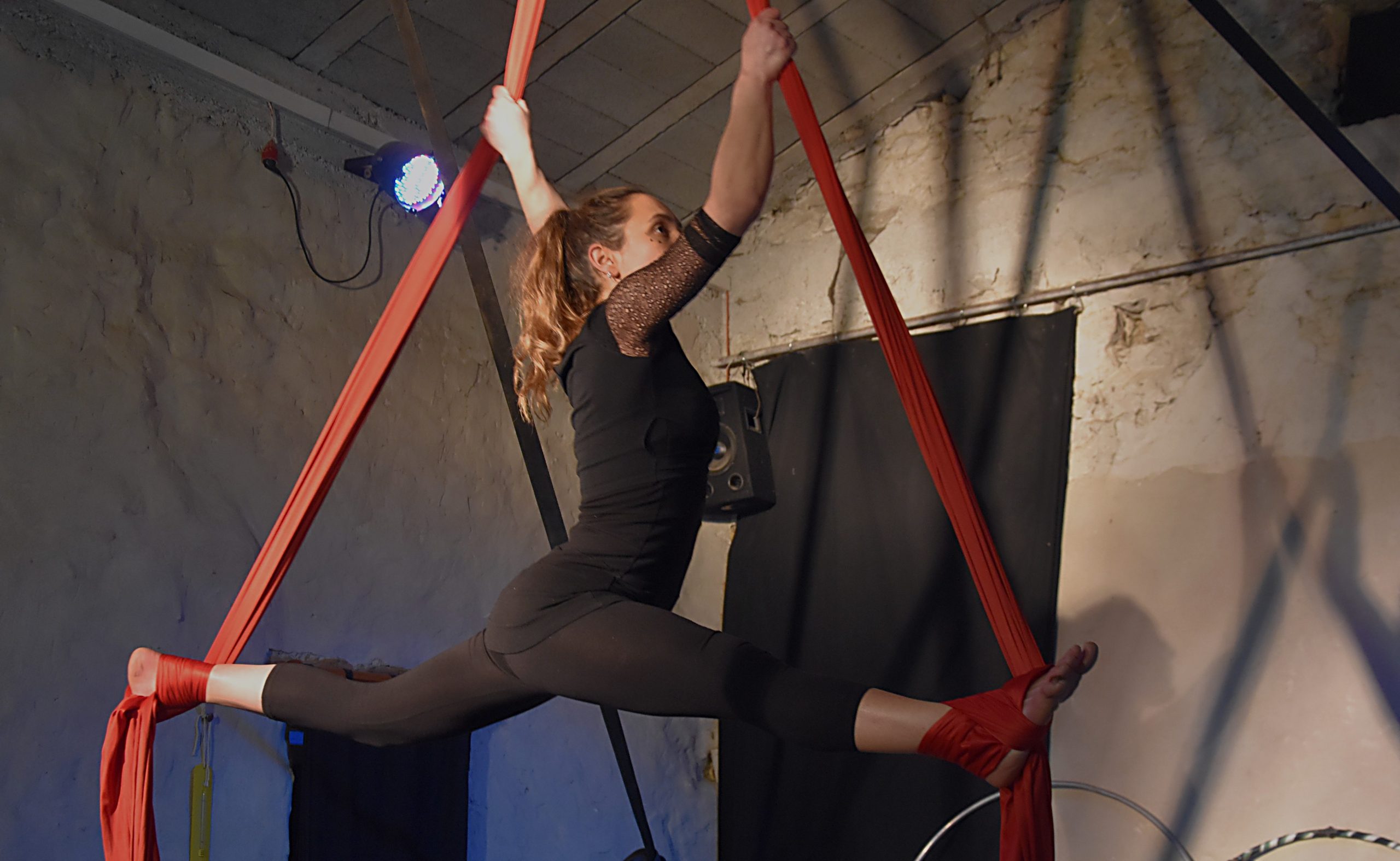 elodie hombert au renard mesquin