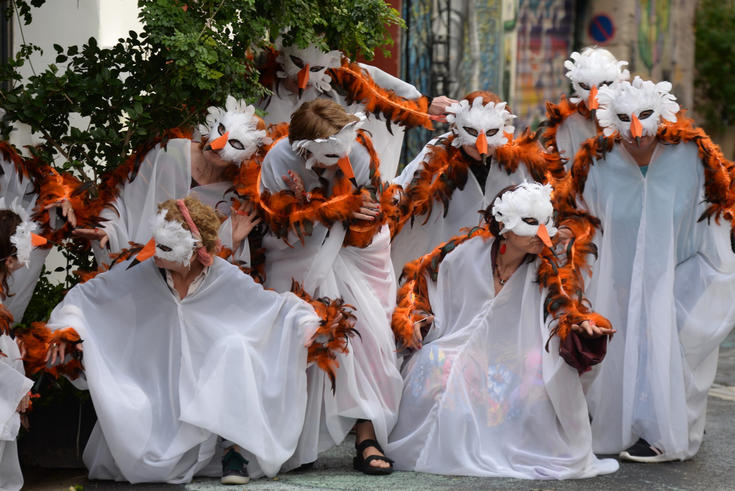 flower-power 2024